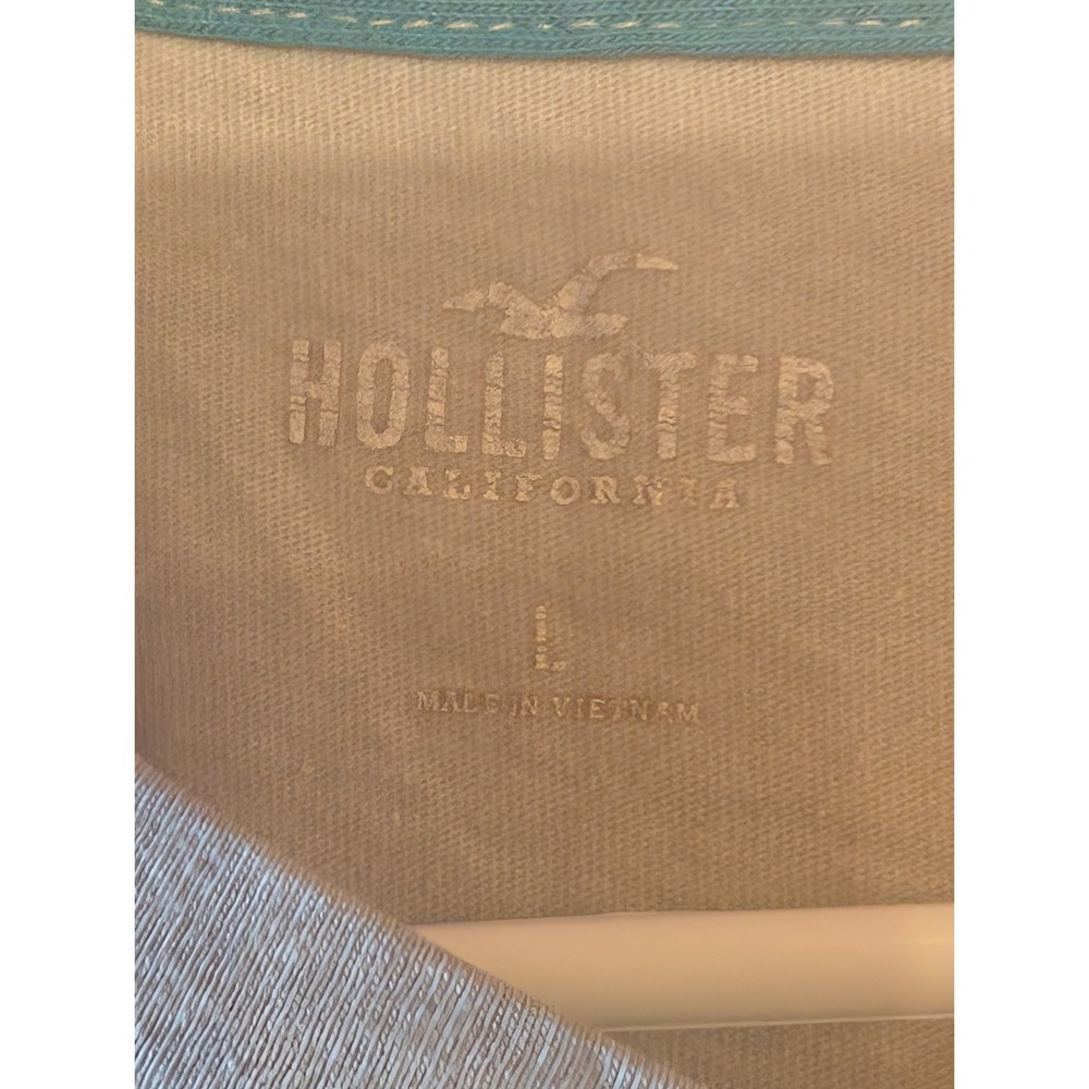 HOLLISTER Men's Gray V-Neck T-Shirt Size L Seagull‎ Logo Casual Tee - Picture 2 of 4